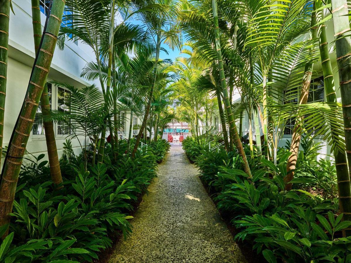 Отель Axel Beach Miami-South Beach - Adults Only Майами-Бич Экстерьер фото